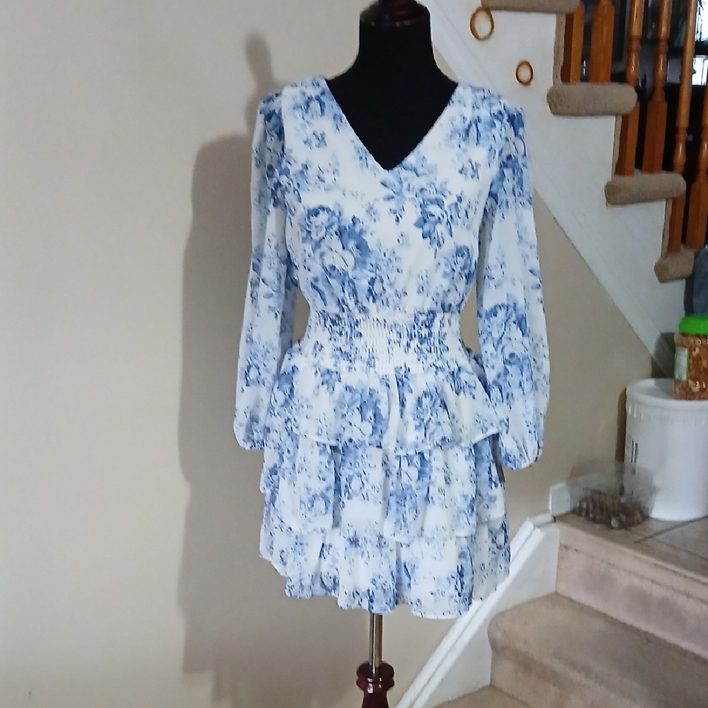 💓3/$15 Streetwear Society Blue and White Floral Dress